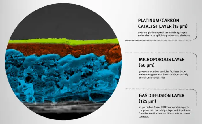 Fuel cell polymer electrolyte membrane 